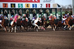 Famous Indian Horse Racing Betting Review 2027: Bonus, App, Withdrawal Tested